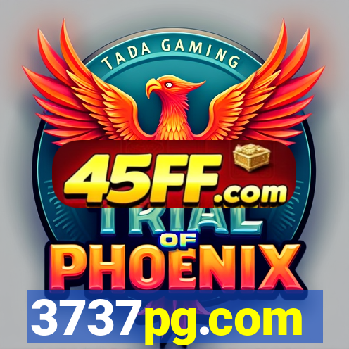 3737pg.com