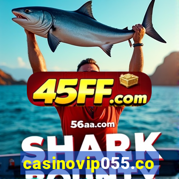 casinovip055.com