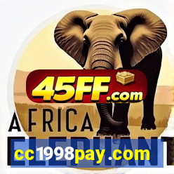 cc1998pay.com