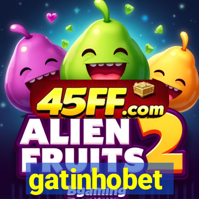 gatinhobet