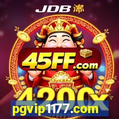 pgvip1177.com