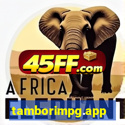 tamborimpg.app
