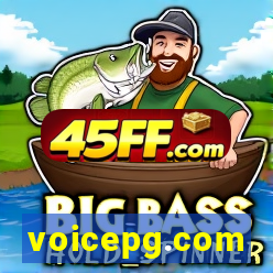 voicepg.com