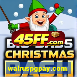 walruspgpay.com